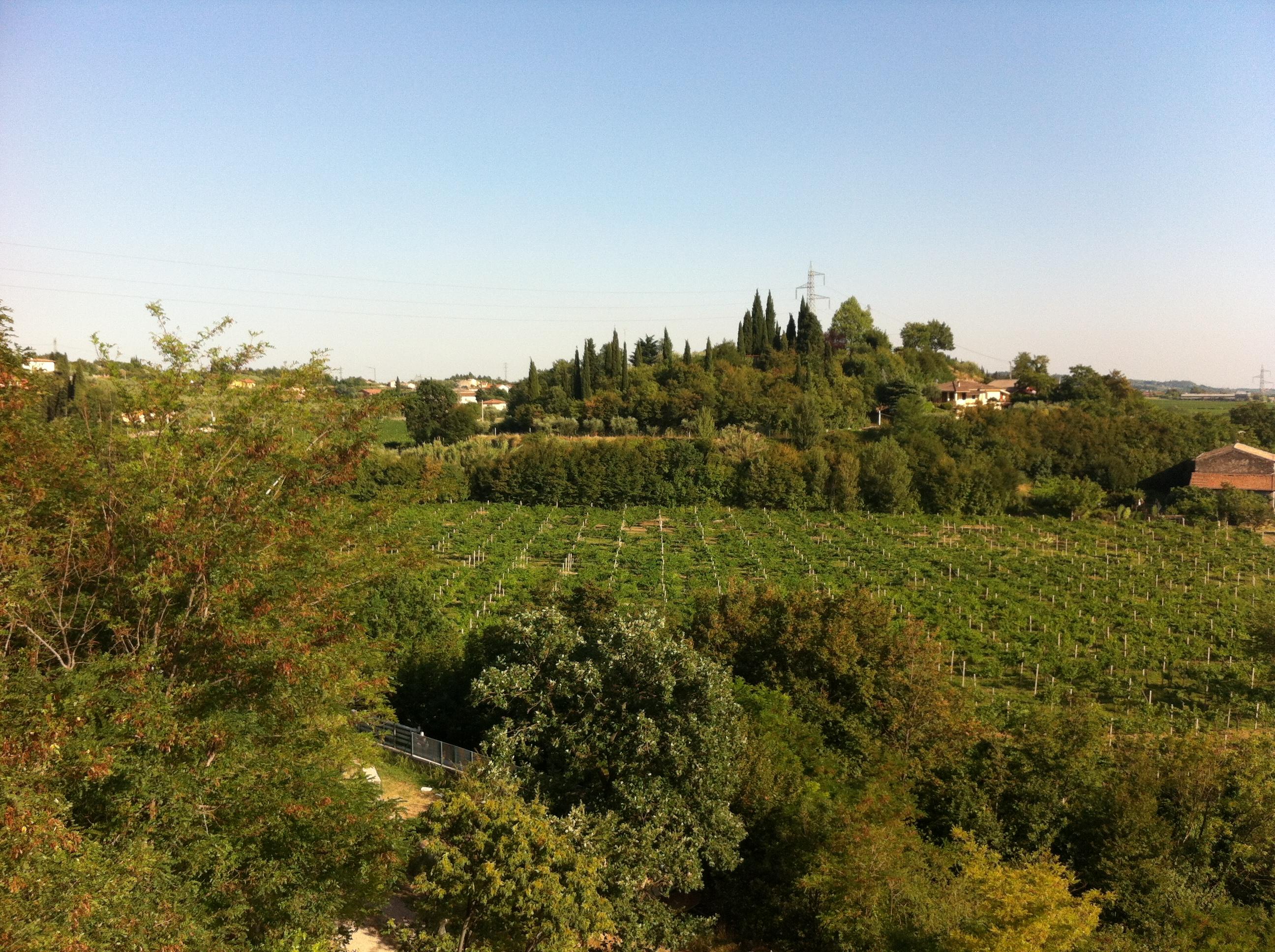 Eurocongressi Hotel Cavaion Veronese Esterno foto